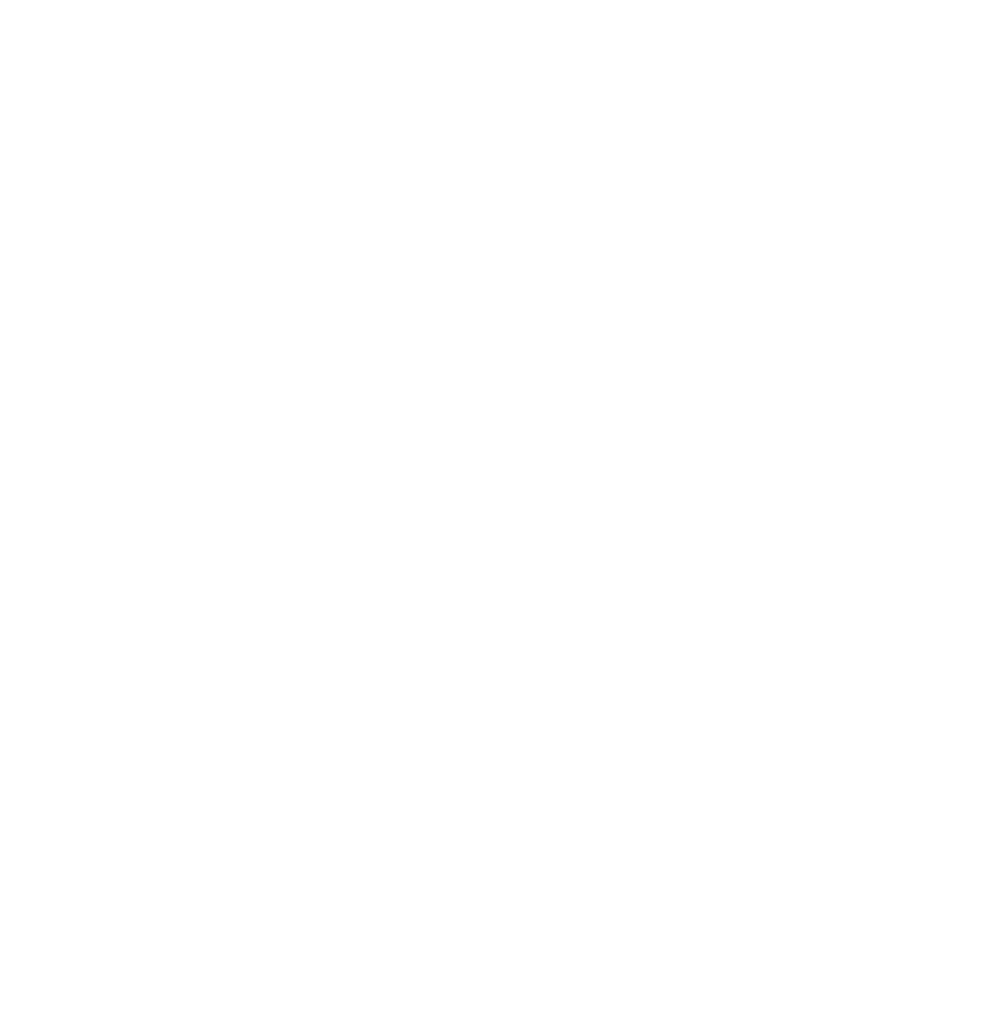 Dream IT Logo White